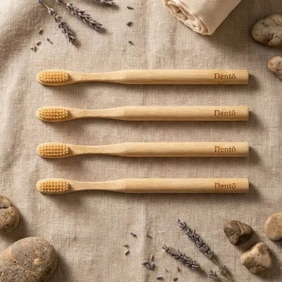 Dentō Boar-Bristled Toothbrush, Plastic-Free 100% Natural Toothbrush